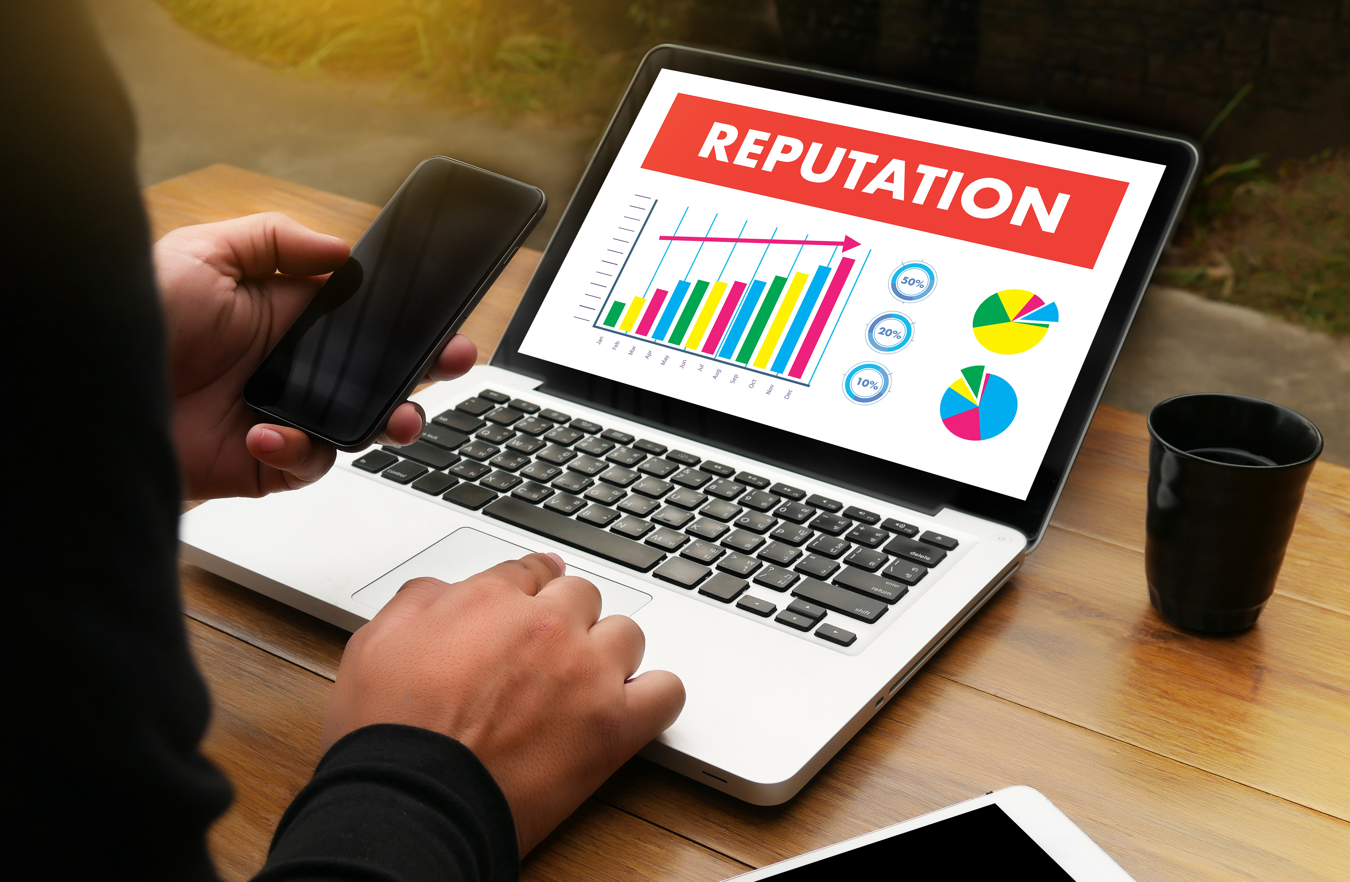 person looking at laptop with a bar graph and pie chart entitled reputation